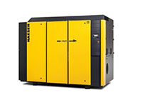 DSD 175 T Model 175 Horsepower (hp) Nominal Motor Output T Version Rotary Screw Air Compressor DSD 175 T Model 175 Horsepower (hp) Nominal Motor Output T Version Rotary Screw Air Compressor
